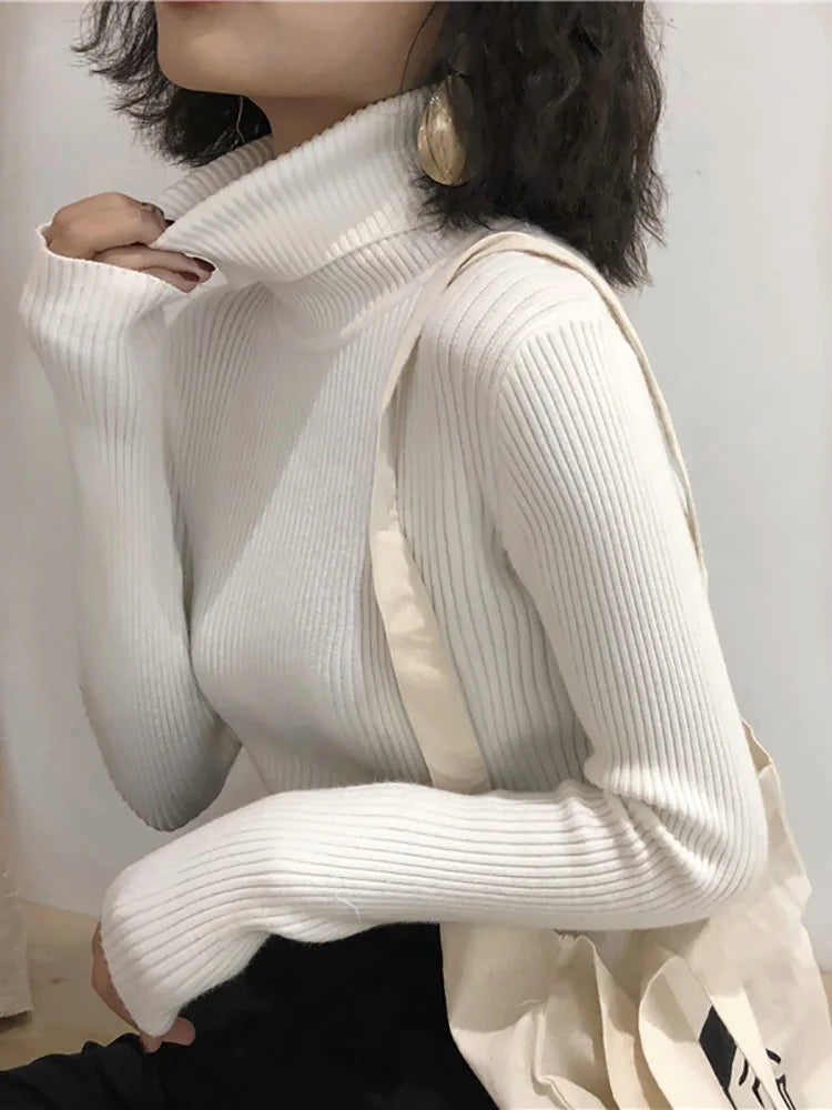 Turtleneck Sweater Slim Fit