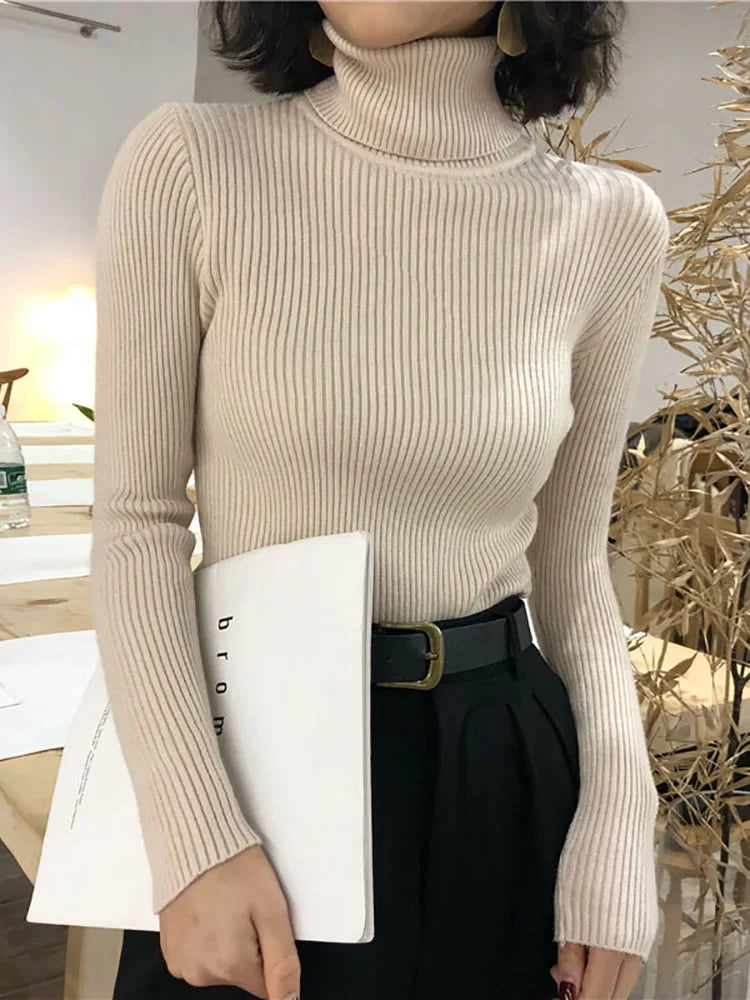 Turtleneck Sweater Slim Fit