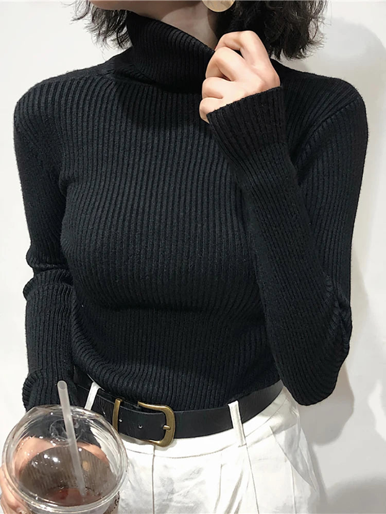 Turtleneck Sweater Slim Fit