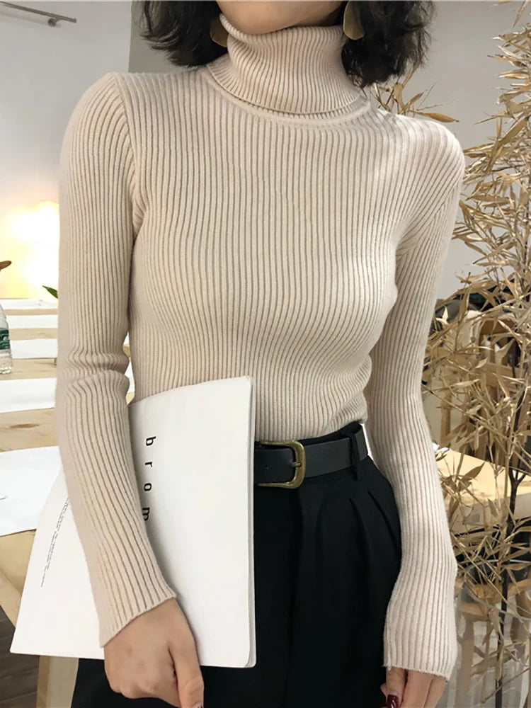 Turtleneck Sweater Slim Fit