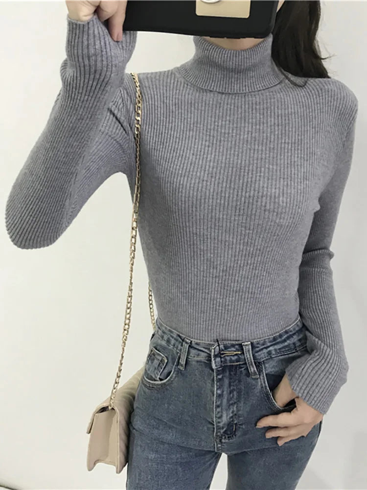 Turtleneck Sweater Slim Fit