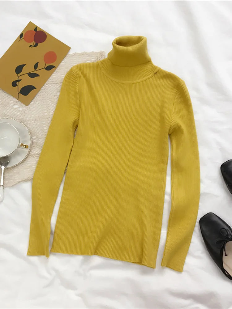 Turtleneck Sweater Slim Fit